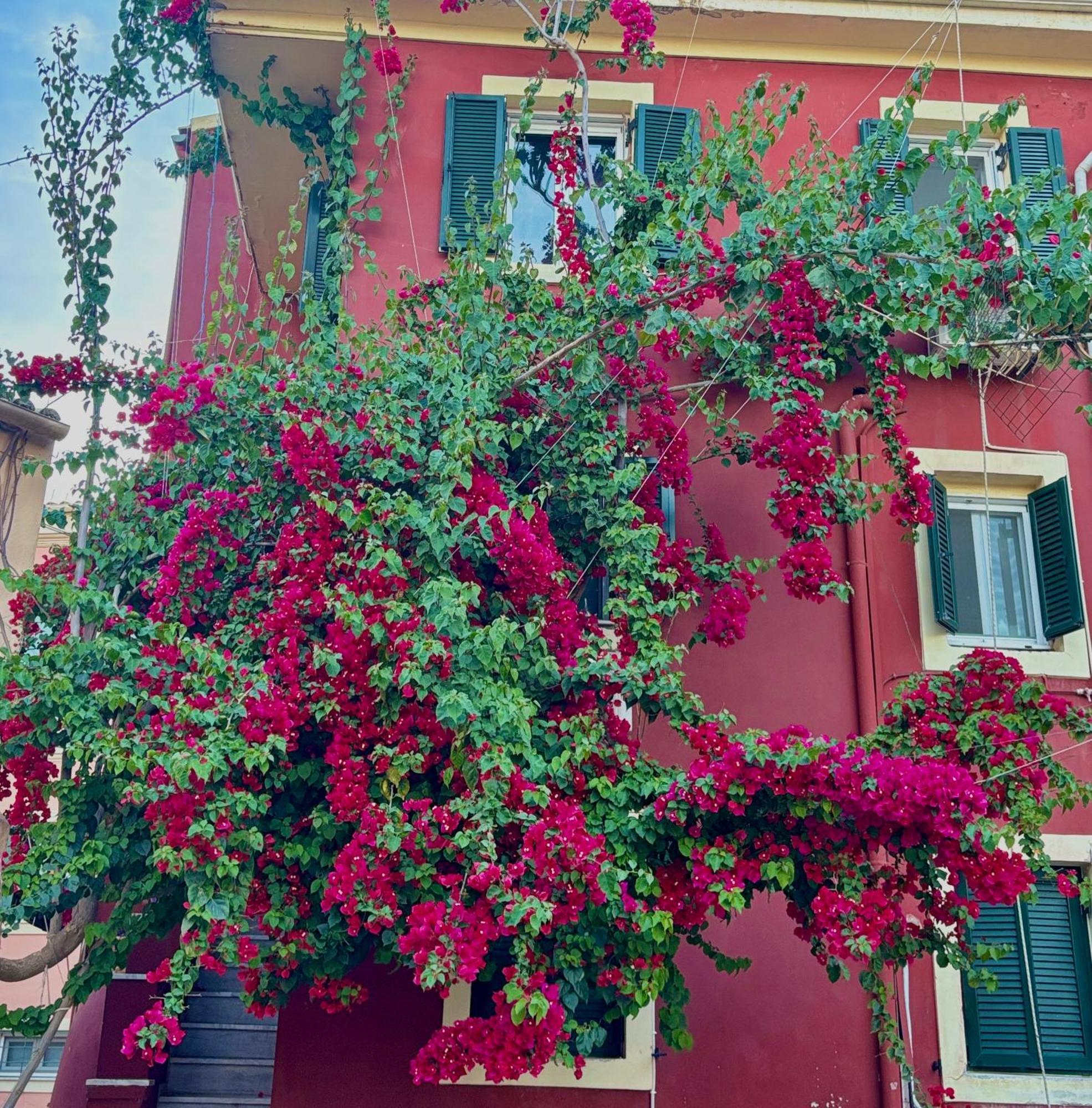 Corfu Port Home Экстерьер фото